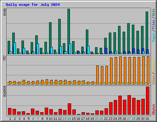 Daily usage for July 2024