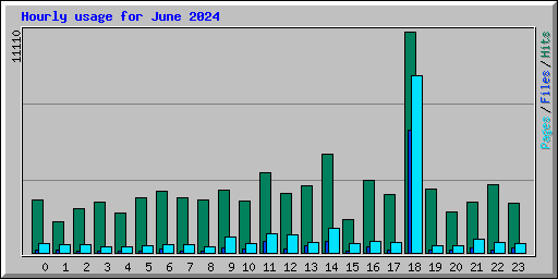 Hourly usage for June 2024