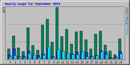 Hourly usage for September 2024