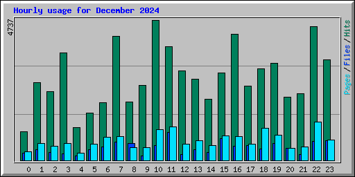 Hourly usage for December 2024