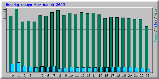 Hourly usage for March 2025