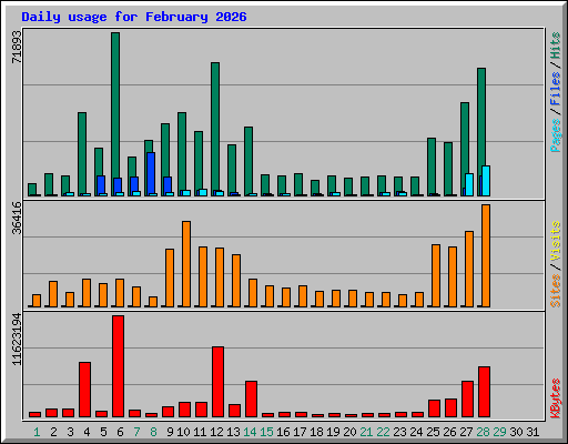 Daily usage for February 2026
