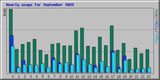 Hourly usage for September 2025