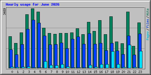 Hourly usage for June 2026